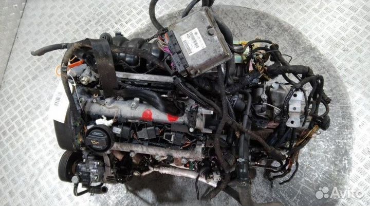 Двигатель AZD Volkswagen Golf 4 1.6 Бензин + МКПП