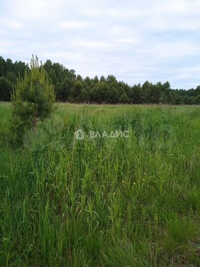 Участок 12 сот. (СНТ, ДНП)