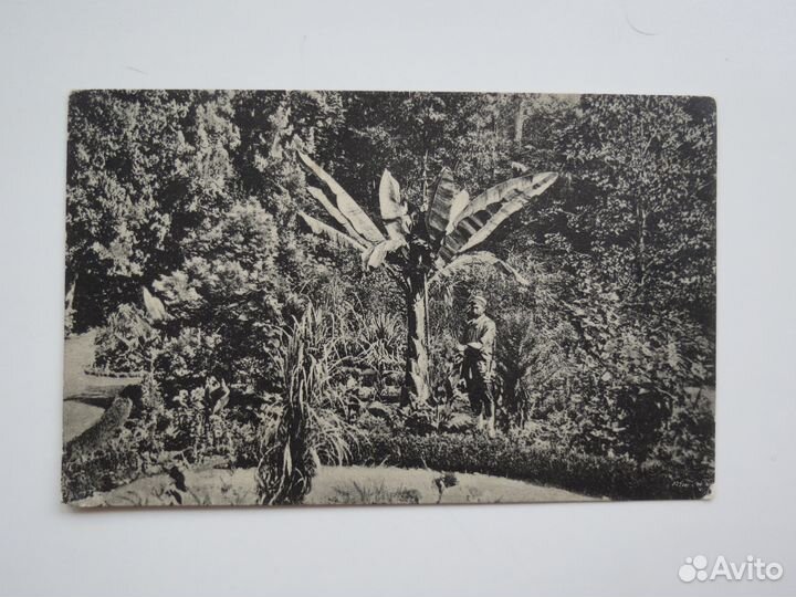 Открытки антикварные до 1917 года