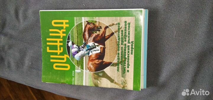 Оценка лошадей победителей главных призов