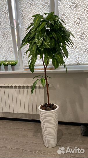 Искусственное дерево