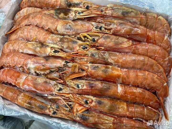 Лангустины L1 крупный. Упаковка 2 кг