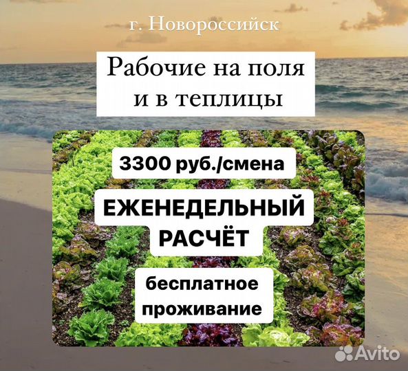 Работники в поля еженедельная оплата