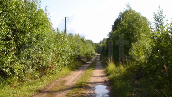Участок 25 сот. (СНТ, ДНП)