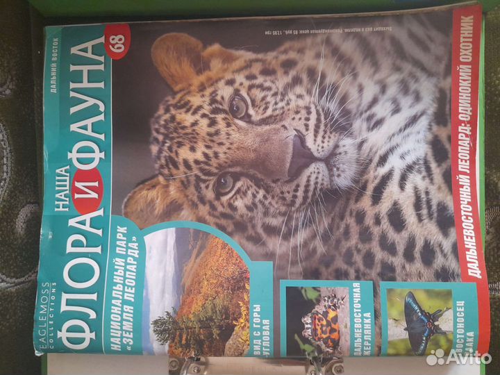 Флора и Фауна