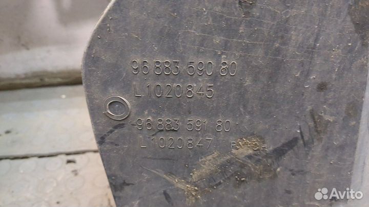 Защита арок (подкрылок) Citroen DS4, 2012