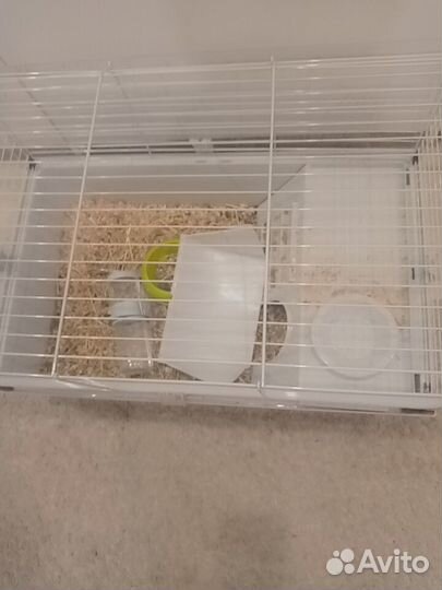 Клетка для кролика, шиншиллы, морской свинки