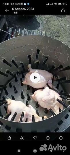 Перосъемная машина для уток гусей,бройлеров