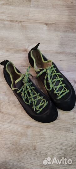 Скальники детские