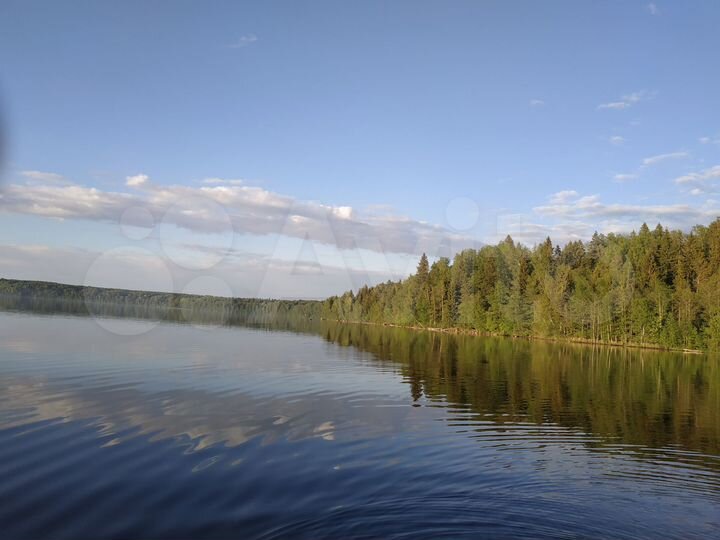 Участок 1,2 га (СНТ, ДНП)