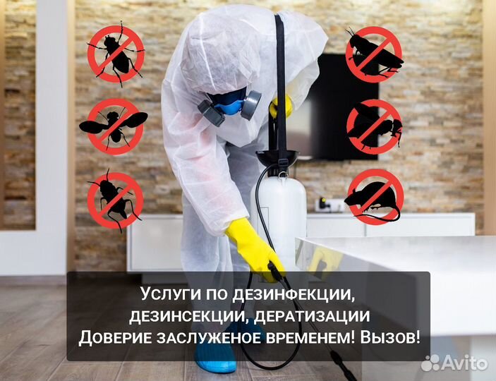 Обработка от клопов, клещей, кротов, комаров, крыс