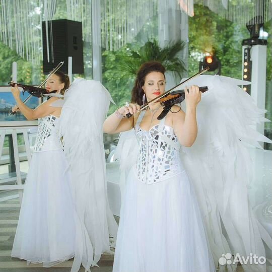 Музыканты, скрипка, скрипичный дуэт