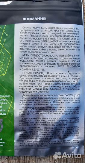 Рассада огурцов сортов Кураж F1 и Герман F1