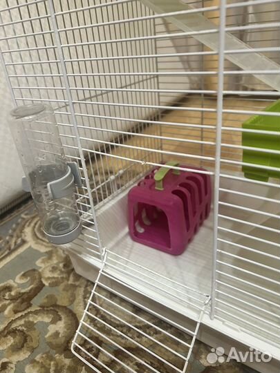 Клетка для грызунов