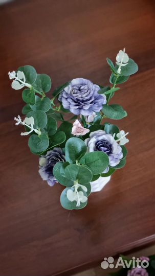 Эвкалипт с цветами в кашпо