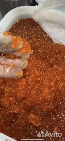 Красная икра горбуши, икра кеты