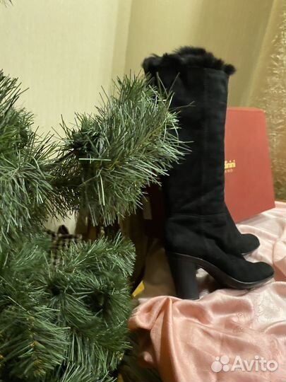 Сапоги baldinini женские зимние натуральная замша