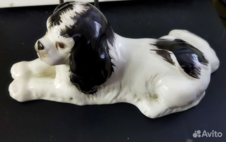 Спаниель лфз