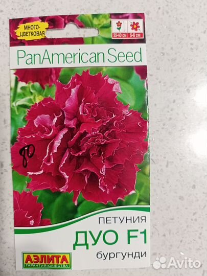 Петуния, рассада