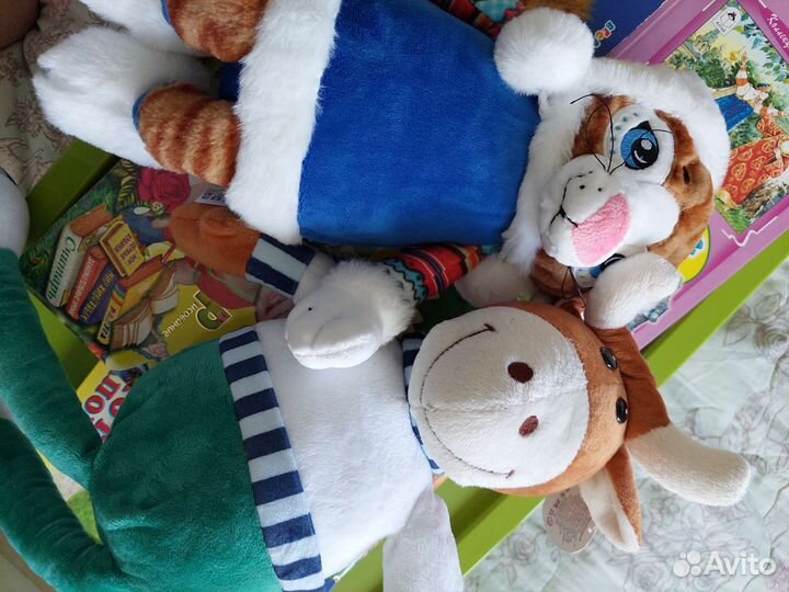 Пакет книг и игрушек