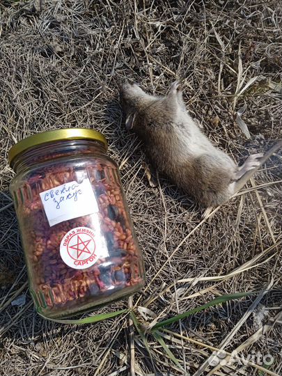 Отрава для крыс