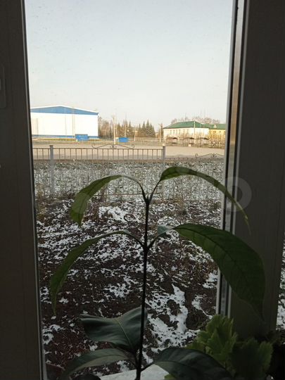 2-к. квартира, 53,2 м², 1/2 эт.