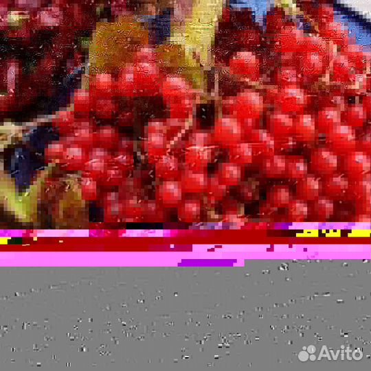 Варенье из калины