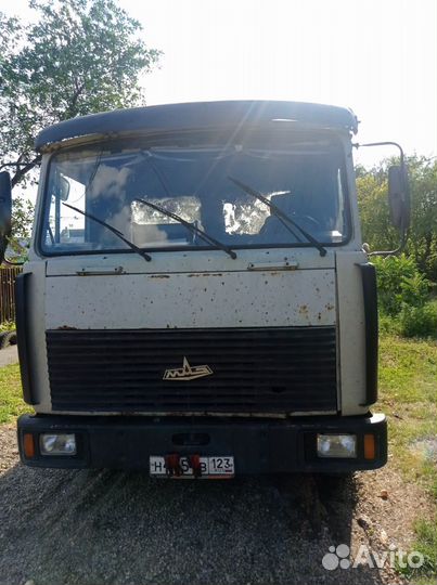 МАЗ 4370, 2001