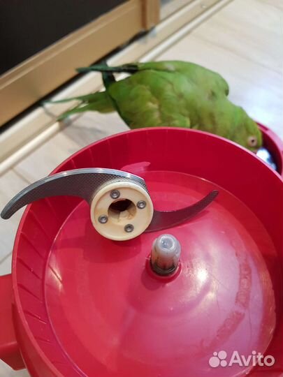 Электромясорубка рось СССР