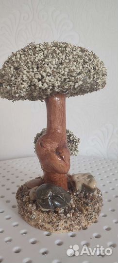 Дерево бонсай живое