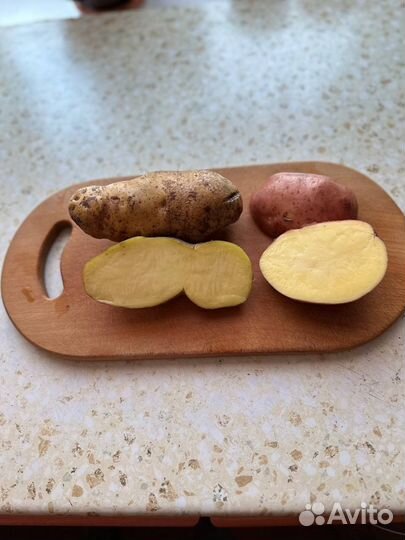 Картофель домашний