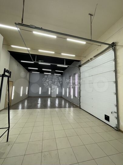 Качинцев 75г