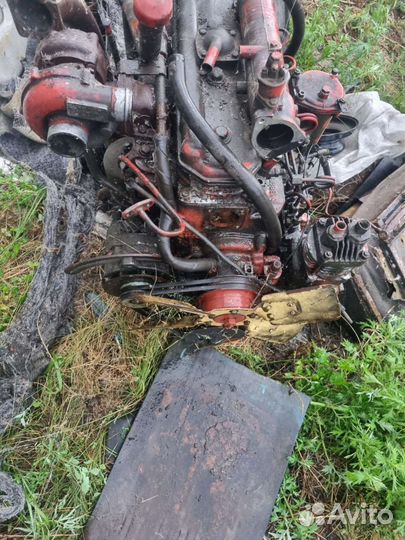 Двигатель от быка д245
