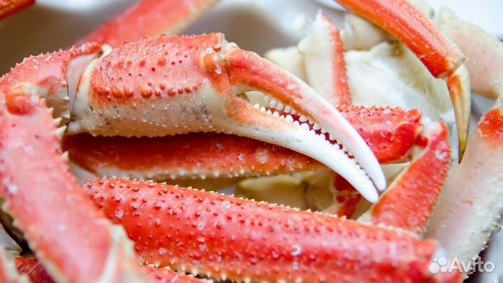 Краб Стригун для дома