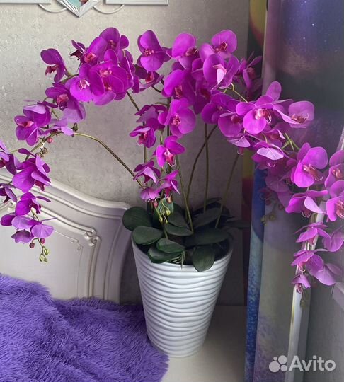 Орхидея напольная, латексная, цвет фуксия