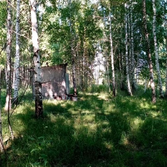 Участок 39 сот. (СНТ, ДНП)