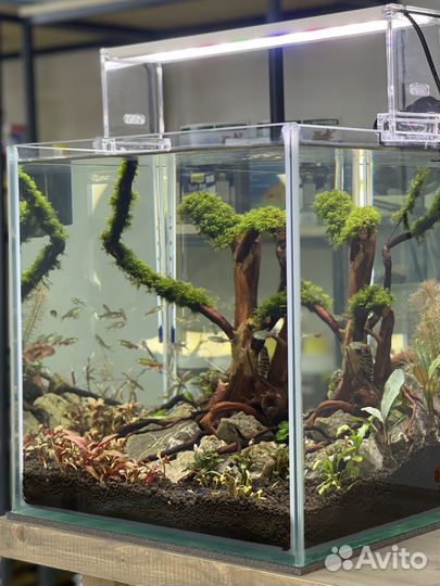 Фильтр и другое оборудование для аквариума