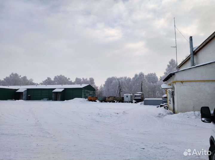 Фермерское картофелеводческое хозяйство