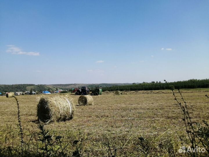 Сено в рулонах