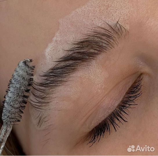 Мастер бровист