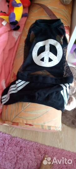 Одежда для собак мелких пород