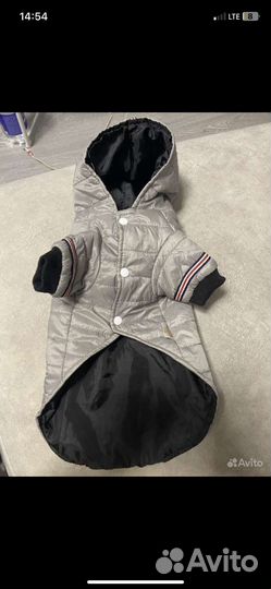 Одежда для собаки