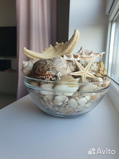 Декор для аквариума