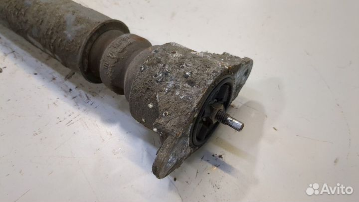 Амортизатор подвески левый задний Ford Fiesta, 2013