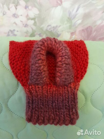 Шапочка для маленькой собаки