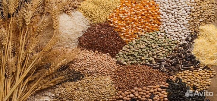 Корма для животных