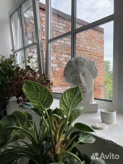 Свеча из оливкового премиального воска в гипсе