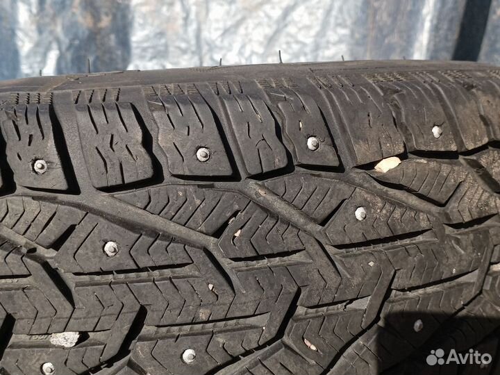 Kormoran Stud 2 4/6 R6 20B
