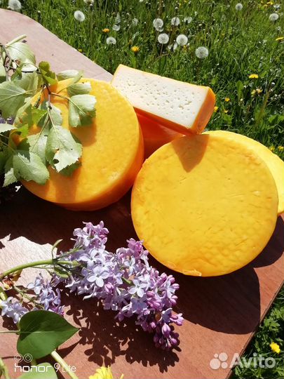 Домашнее яйцо козий сыр творог сливки масло молоко