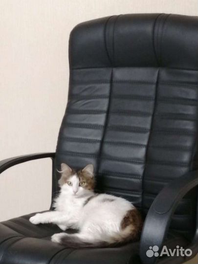 Кресло руководителя бу